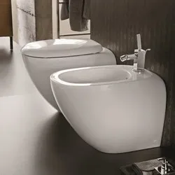 dendom.com/bania-toaletna-sanitaria-bideta