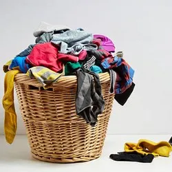 dendom.com/domashni-potrebi-koshove-paneri-koshnici