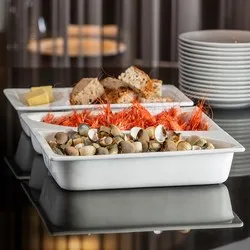 dendom.com/profesionalno-oborudvane-gastronorm-gastro-konteiner-porcelan