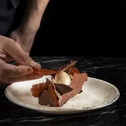 dendom.com/profesionalno-oborudvane-horeca-porcelan-bonna-nacrous-matt