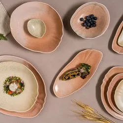 dendom.com/profesionalno-oborudvane-horeca-porcelan-bonna-sahara-tone