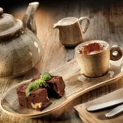 dendom.com/profesionalno-oborudvane-horeca-porcelan-bonna-terrain