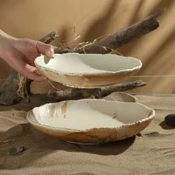 dendom.com/profesionalno-oborudvane-horeca-porcelan-horecano-fuji