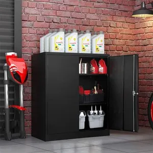 dendom.com/profesionalno-oborudvane-metalni-shkafove