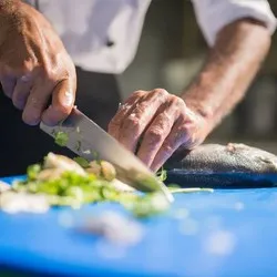 dendom.com/profesionalno-oborudvane-profesionalna-kuhnia-dyski-za-riazane-pro-shef