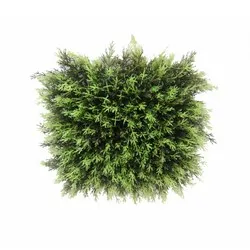 Панел за направа на вертикална градина Туя