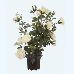 Изкуствена бяла роза висока 75 см