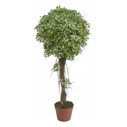 Изкуствен фикус Бенджамин висок 100 см