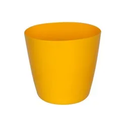 Саксия Гланцерита Йелол 5 размера