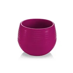 Саксия за кактус 2 размера