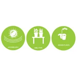 Саксия за кактус 2 размера