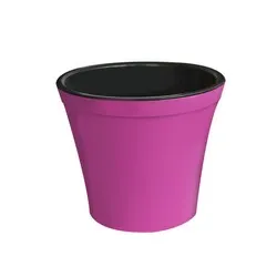 Саксия Орхидея