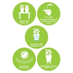 Саксия с чинийка Дейзи Пърпъл 3 размера