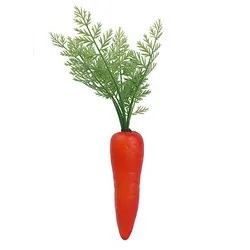 Декоративен морков