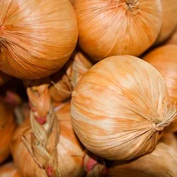 Декоративна връзка лук