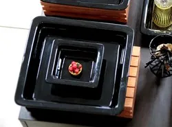 Гастро контейнер Порцелан Черен GN 1/6