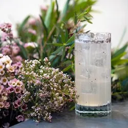 Чаша за безалкохолни напитки BORMIOLI ROCCO BACH 480 мл 6 бр